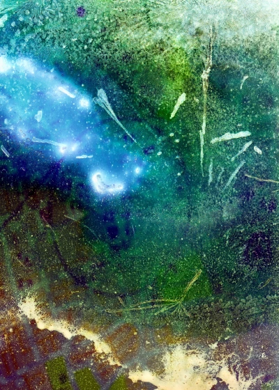 Ces Fleurs Factices Singeant les Véritables Fleurs