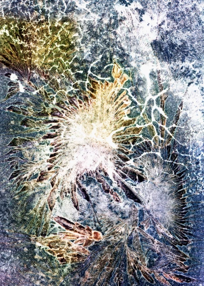 Ces Fleurs Factices Singeant les Véritables Fleurs