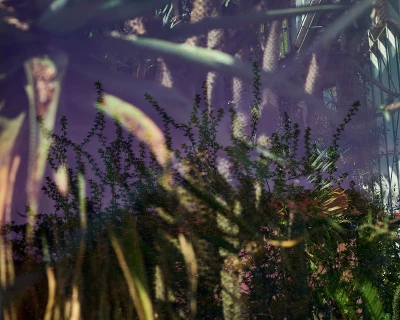 Ces Fleurs Factices Singeant les Véritables Fleurs