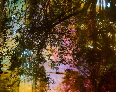 Ces Fleurs Factices Singeant les Véritables Fleurs