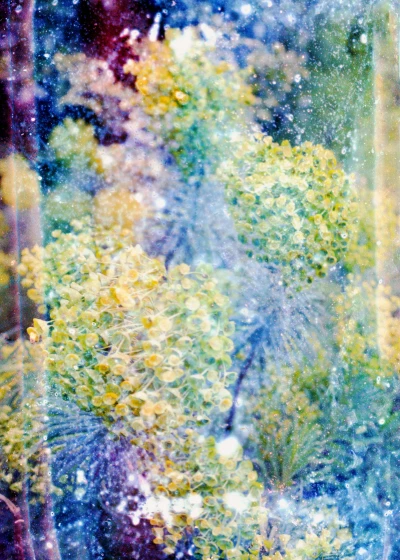 Ces Fleurs Factices Singeant les Véritables Fleurs