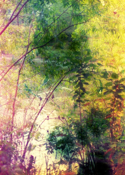 Ces Fleurs Factices Singeant les Véritables Fleurs