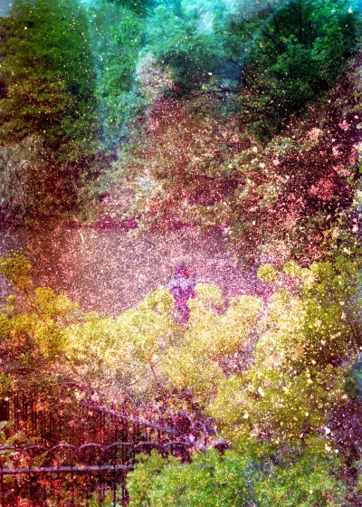 Ces Fleurs Factices Singeant les Véritables Fleurs