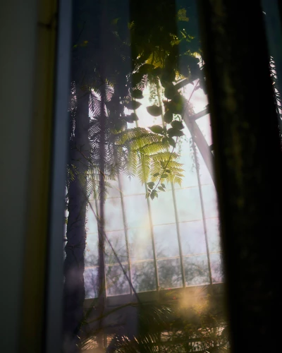 Ces Fleurs Factices Singeant les Véritables Fleurs