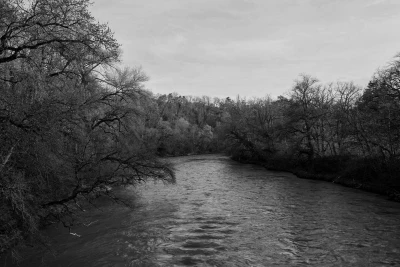 Ces Fleurs Factices Singeant les Véritables Fleurs