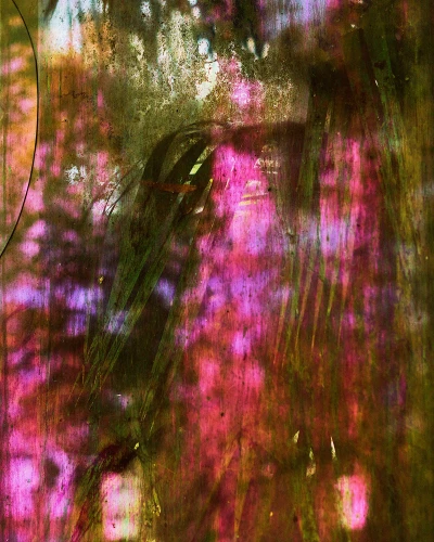 Ces Fleurs Factices Singeant les Véritables Fleurs