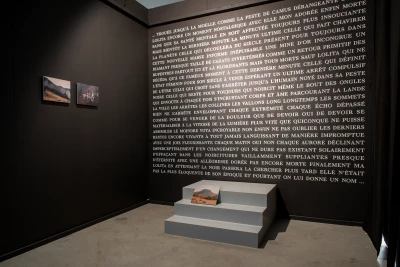 Icicle ou Didascalies Impromptues par Gunnar et Carbone 14