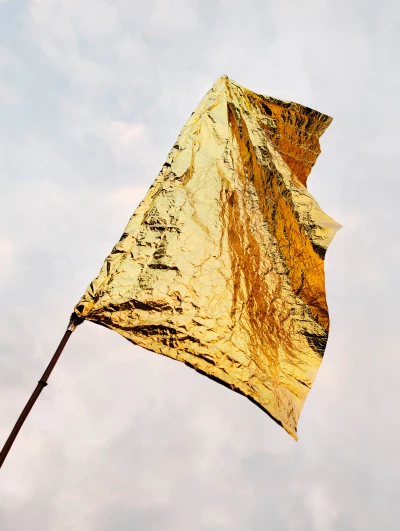 Les Sabots de Vénus