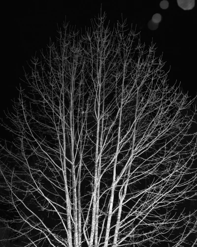 Meteor Ghosts