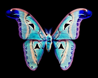 Someone Dressed in My Skin