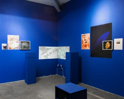 Someone Dressed in My Skin