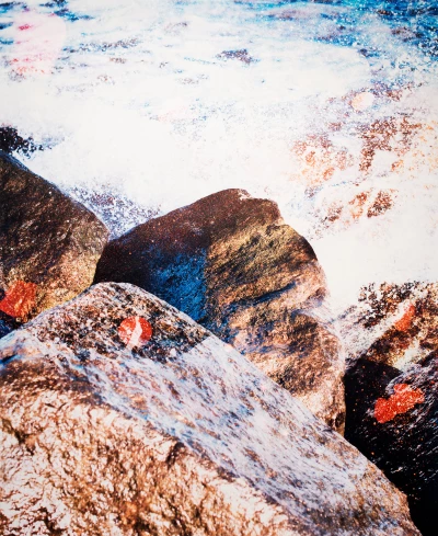 Someone Dressed in My Skin